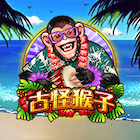 新古怪猴子