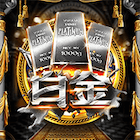新白金